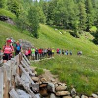 Alpy Passo Tonale 9. - 15.7. 2024 ...